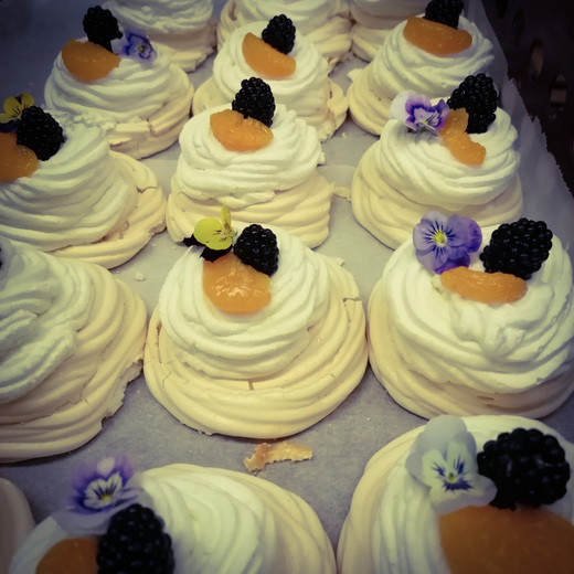 pavlova_edited.jpg